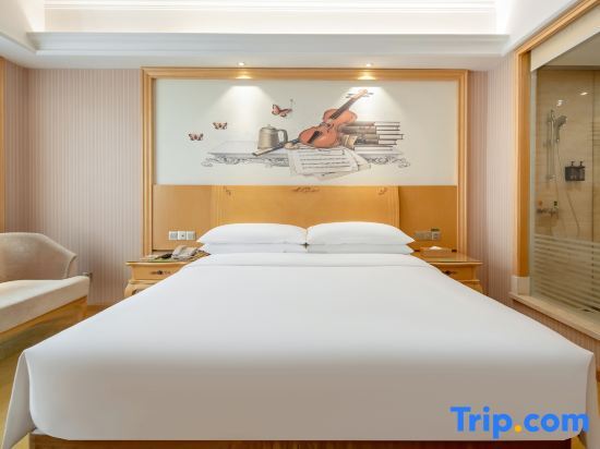 Наньнин: Vienna International Hotel (Nanning Langxi Metro Station)