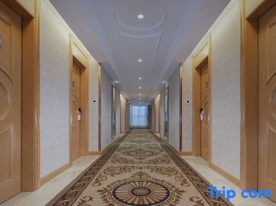 Лянфан: Vienna International Hotel (Langfang Daxing International Airport)