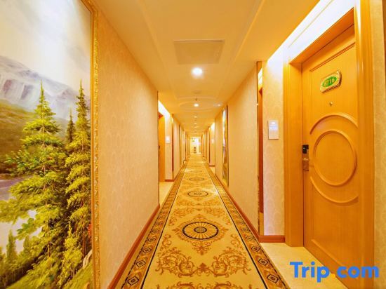 Янгиианг: Vienna 3 Best Hotel (Yangchun Bus Station)
