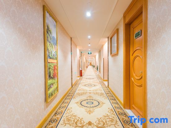 Шанхай: Vienna Hotel (Shanghai Gucun Park)