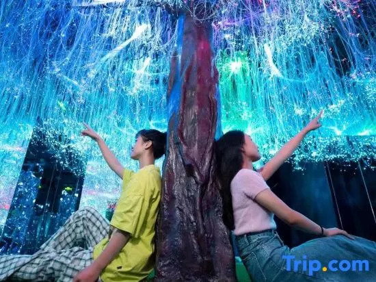 Чанша: Tongguanyao Macrolink Legend Hotel