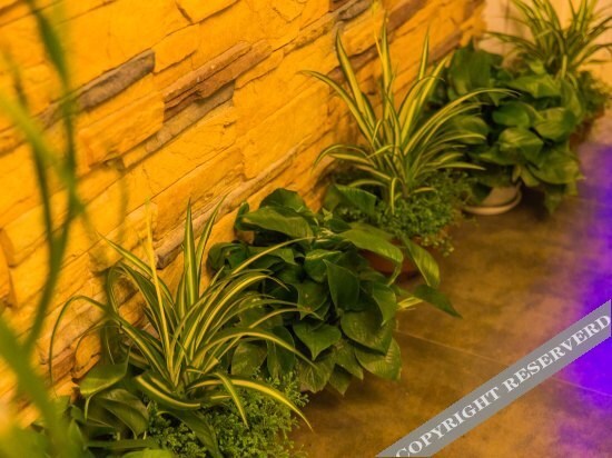 Ханчжоу: Juyue Boutique Inn
