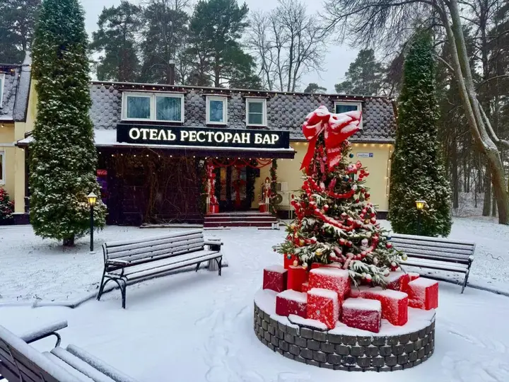 Зеленогорск: Отель Парк Отель