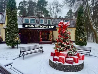 Зеленогорск: Отель Парк Отель