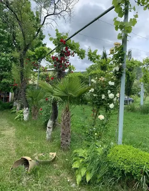 Удабно: Villa David
