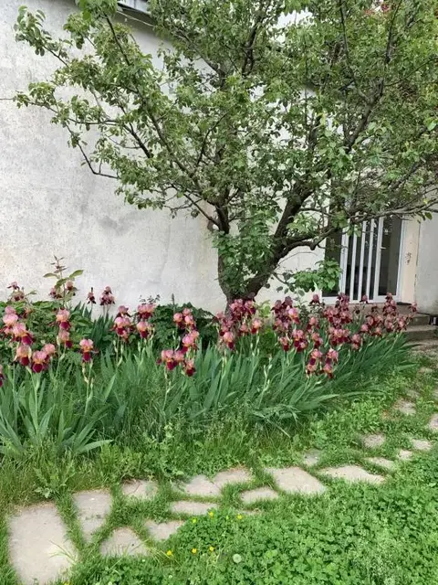 Удабно: Villa David