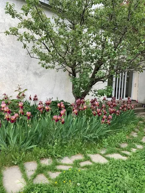 Удабно: Villa David