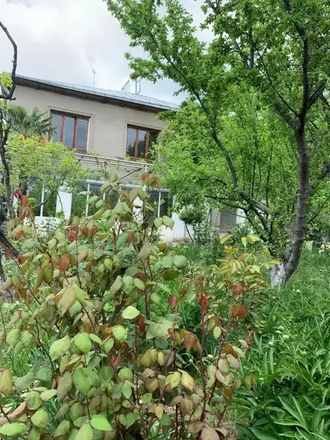 Удабно: Villa David
