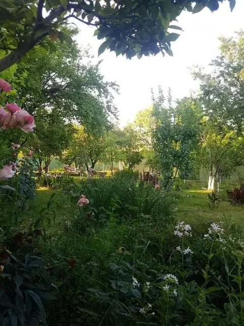 Удабно: Villa David