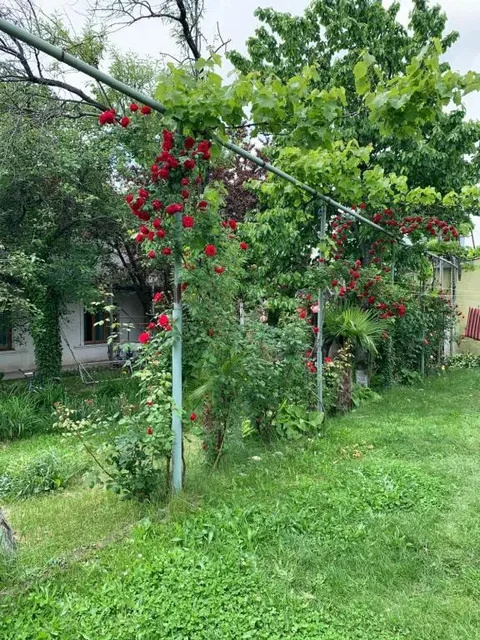 Удабно: Villa David