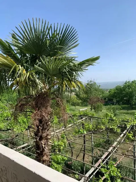 Удабно: Villa David