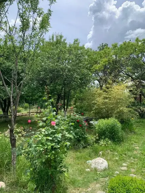Удабно: Villa David