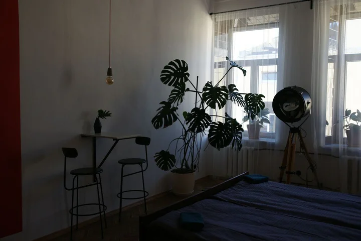 Санкт-Петербург: Malevich Hostel