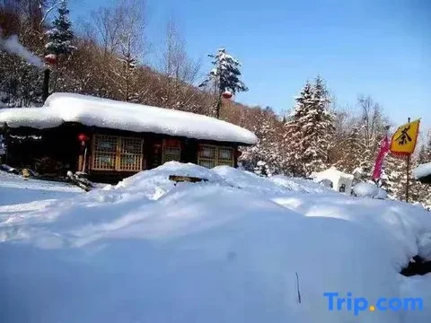 Харбин: Wuchang Xuegu Jinxiu Inn