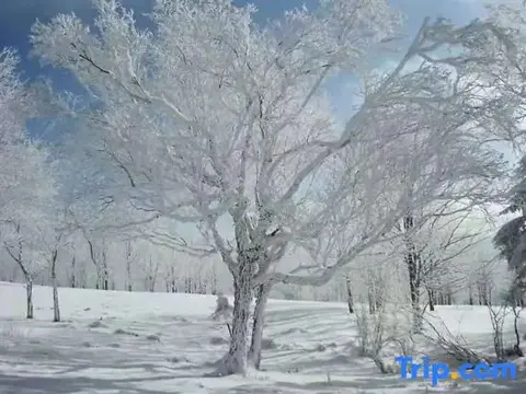 Харбин: Wuchang Xuegu Jinxiu Inn