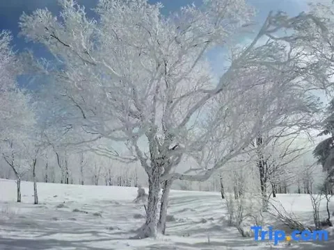 Харбин: Wuchang Xuegu Jinxiu Inn