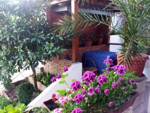 Ульцинь: Firenze Apartments