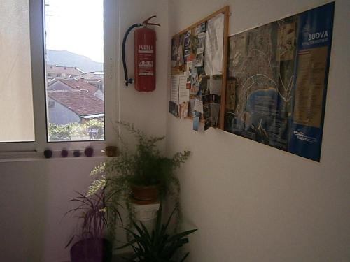 Будва: Mijovic Apartments