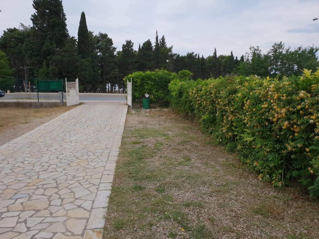 Бар: Apartments Cindrak