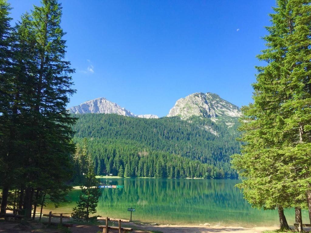 Жабляк: B&B Guest House Andjelich
