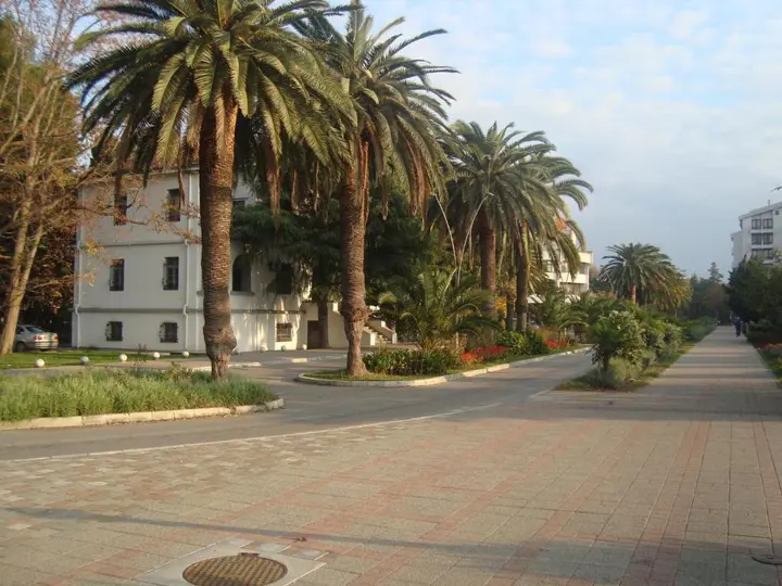 Бар: Kojic Apartments