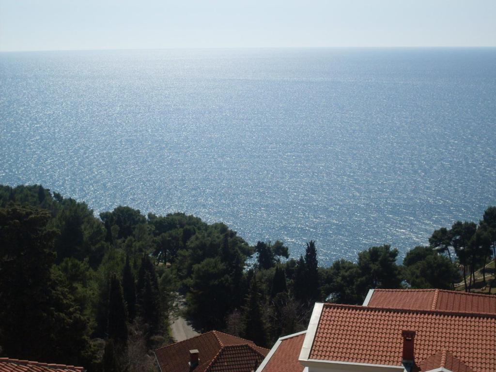 Ульцинь: Apartments Popovic