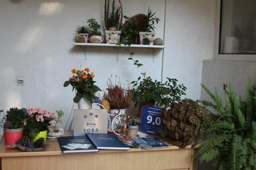 Будва: Apartments Becic