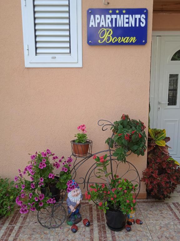 Херцег-Нови: Apartments Bovan