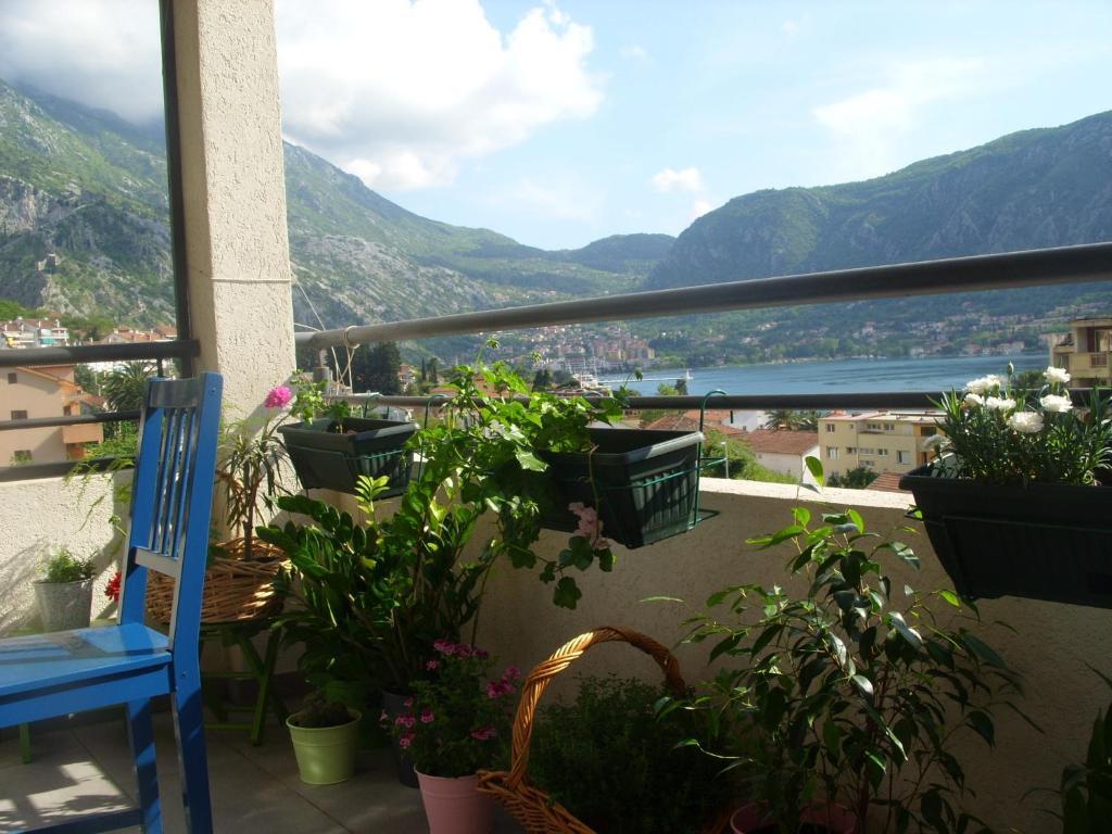 Доброта: Apartments Dakovic