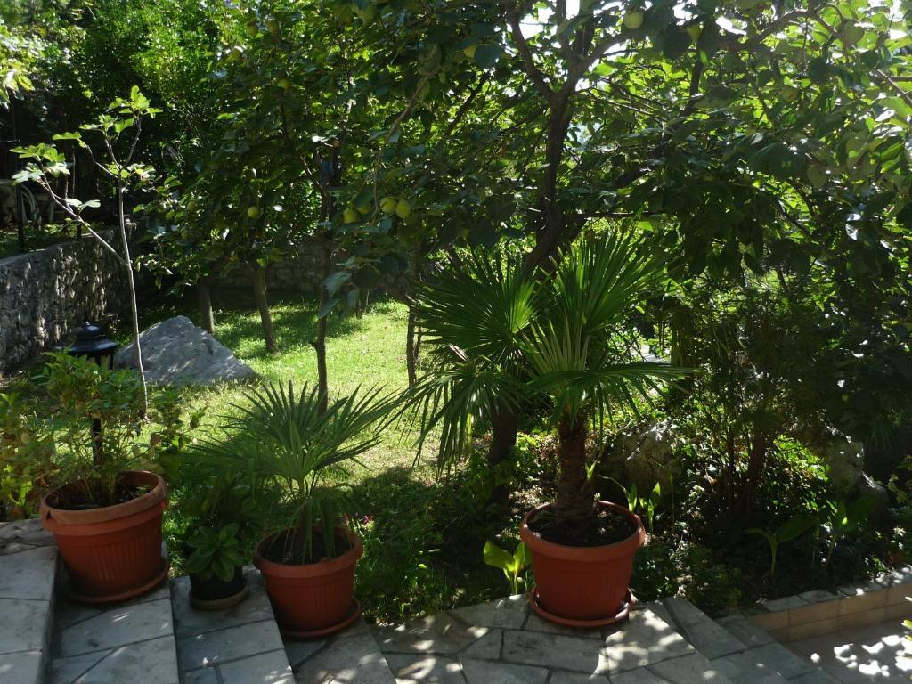 Доброта: Apartments Villa PM