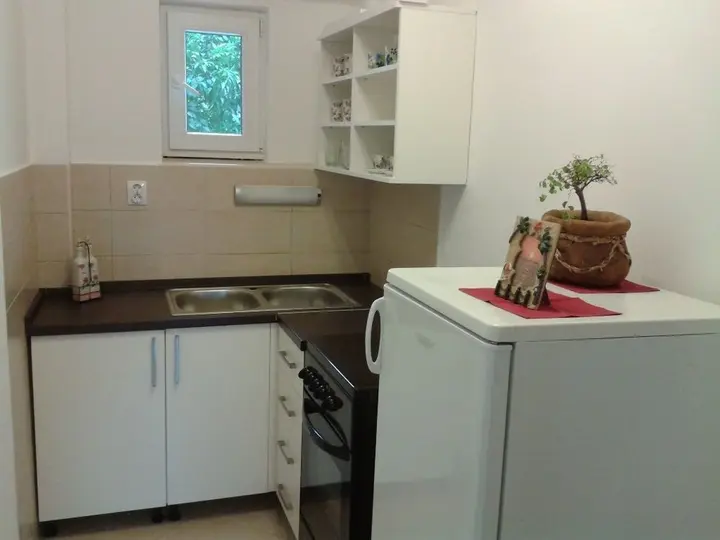Херцег-Нови: Apartments Herceg Novi