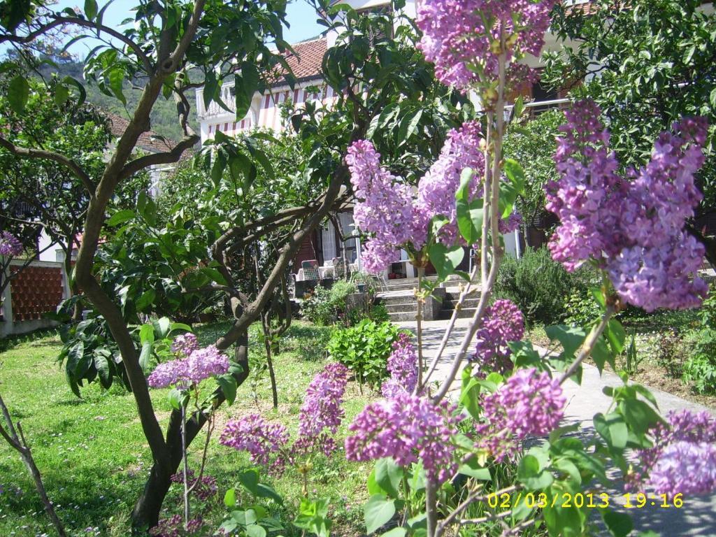 Будва: Apartments Budva Center 2