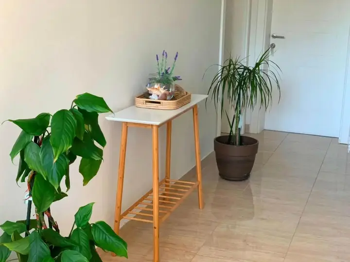 Ульцинь: Apartments Lungo Mare