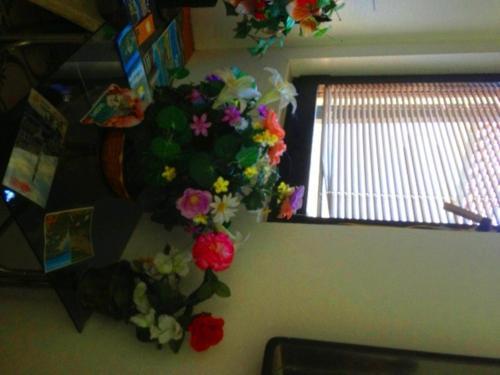 Ульцинь: Studio Rooms Moncherie