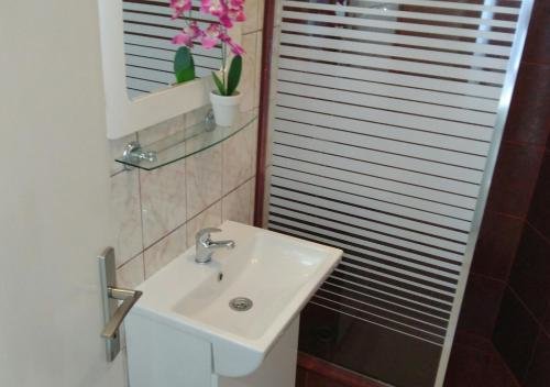 Херцег-Нови: Apartments Jadran