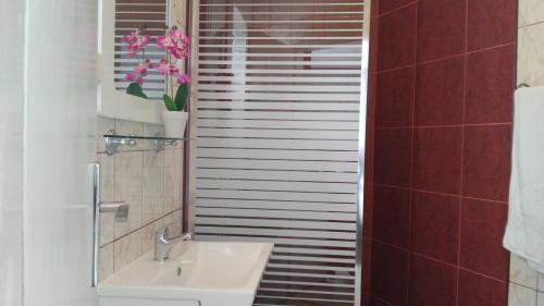 Херцег-Нови: Apartments Jadran