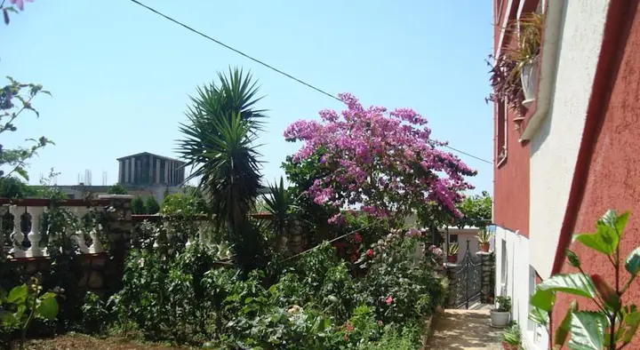 Ульцинь: Alvanita Apartments