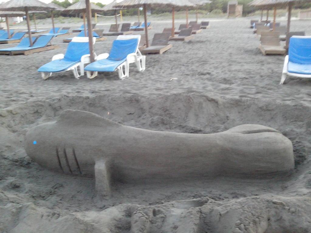 Ульцинь: Studios Velika Plaža