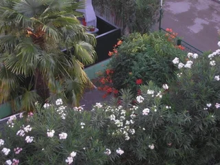 Ульцинь: Vila Elkom