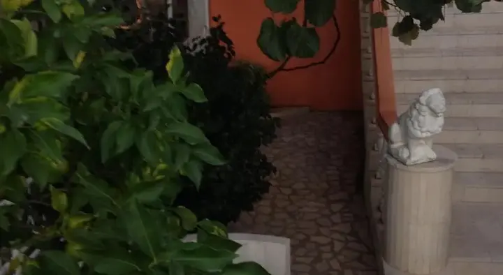 Будва: Apartments and Rooms Vujacic