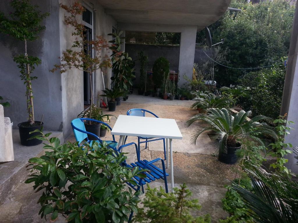Ульцинь: Apartments Olga