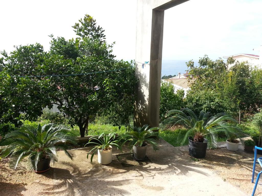 Ульцинь: Apartments Olga