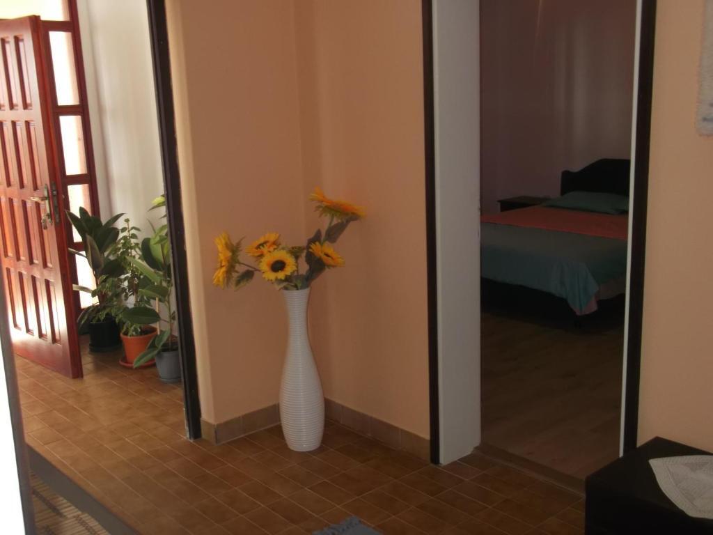 Ульцинь: Apartments Olga