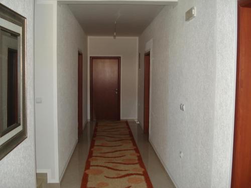 Ульцинь: Studios M
