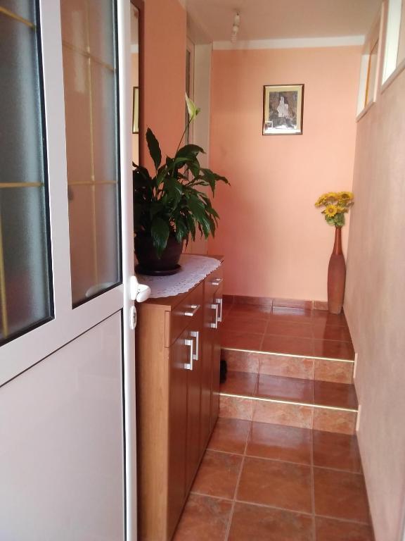 Жабляк: Apartments Obradović Milan