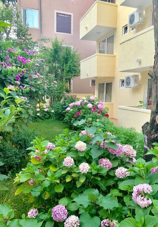 Будва: The Franeta Apartments Lux