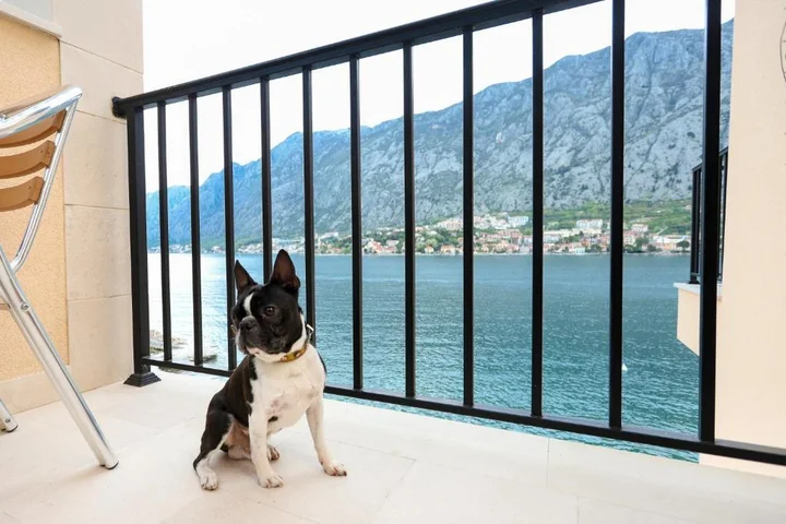 Доброта: Apartments Rozer
