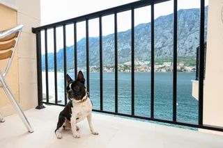 Доброта: Apartments Rozer