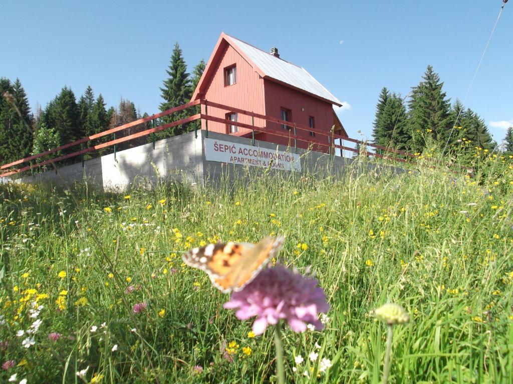 Жабляк: Šepić Accommodation