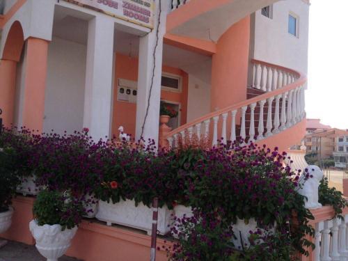 Ульцинь: Apartments Delfin